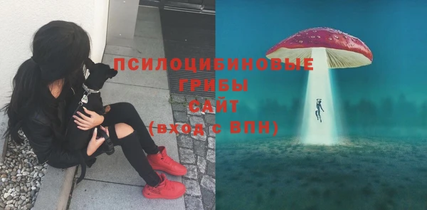 крисы Балабаново