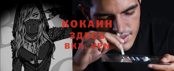 PSILOCYBIN Рославль