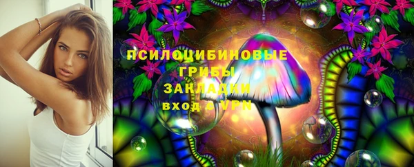 прущие крисы Баксан