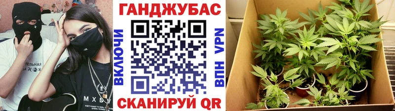 Марихуана план  Грязовец 